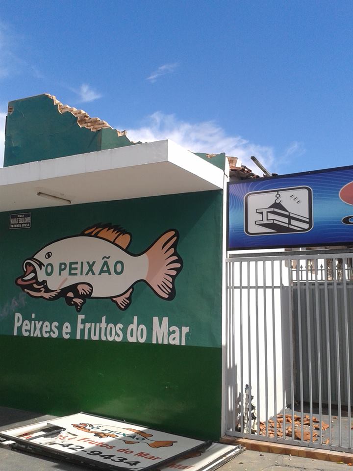 1238102_598123586941313_916508846_n