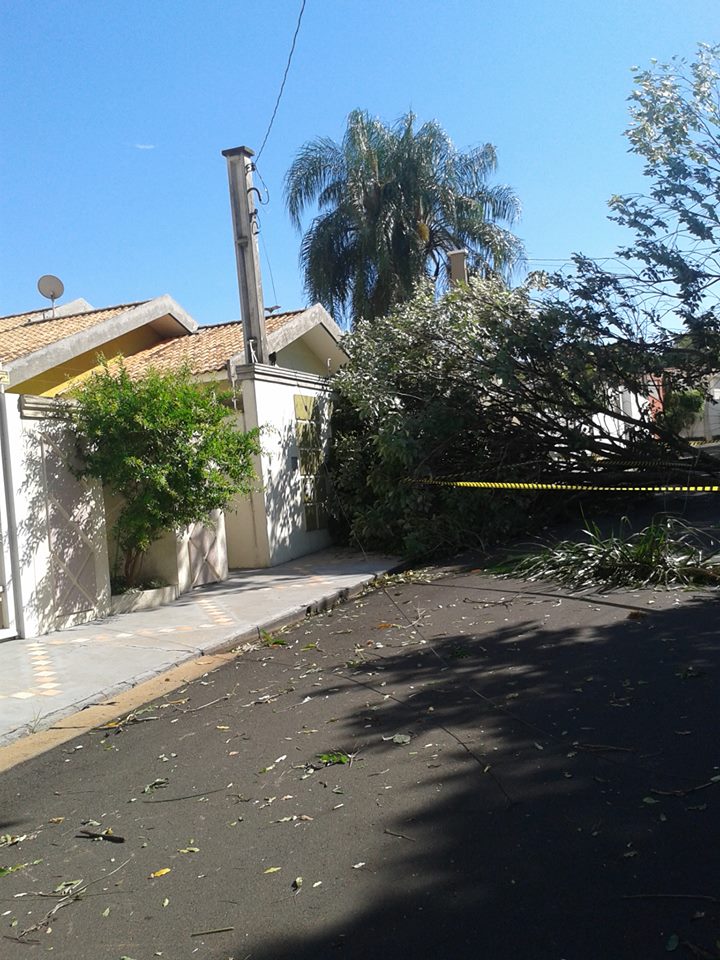 1899906_598117323608606_1424524737_n