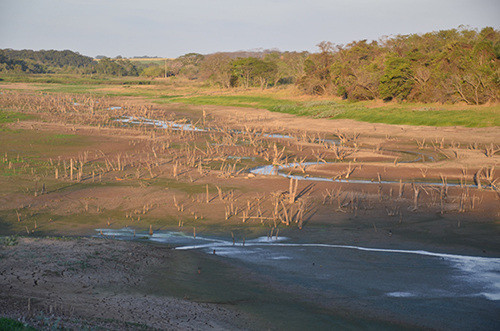 FOTO2-330988-2014-07-04-07_04