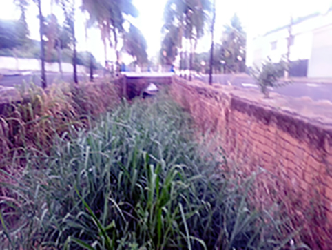 IMG-20170327-WA0017
